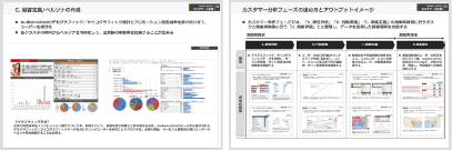 分析／システム導入支援